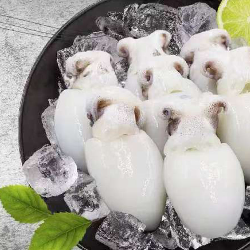 Frozen cuttlefish