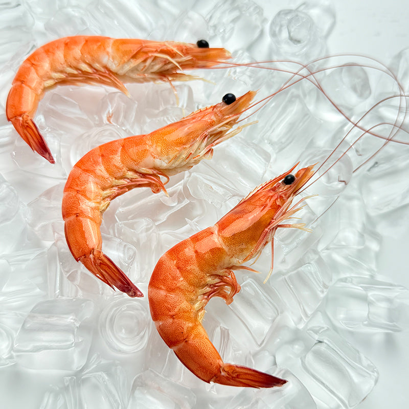 Frozen Shrimp (Kernels)