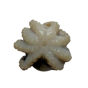 Frozen Octopus