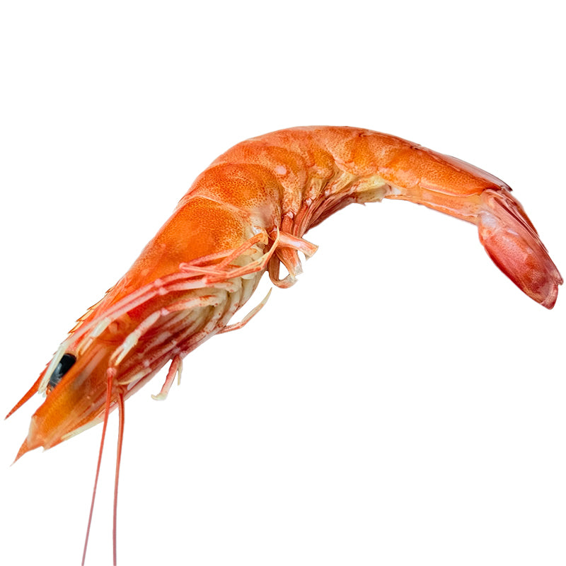 Frozen Shrimp (Kernels)