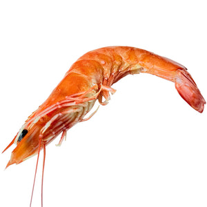 Frozen Shrimp (Kernels)
