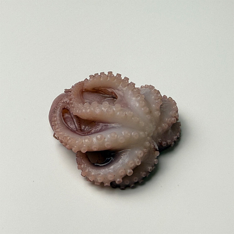Frozen Octopus