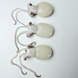 Frozen cuttlefish