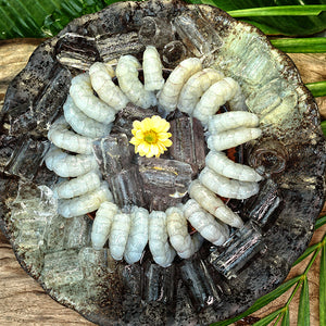 Selected shrimp