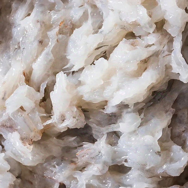 Frozen shrimp paste