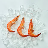 Frozen Shrimp (Kernels)