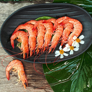 Frozen Shrimp (Kernels)