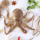 Frozen Octopus