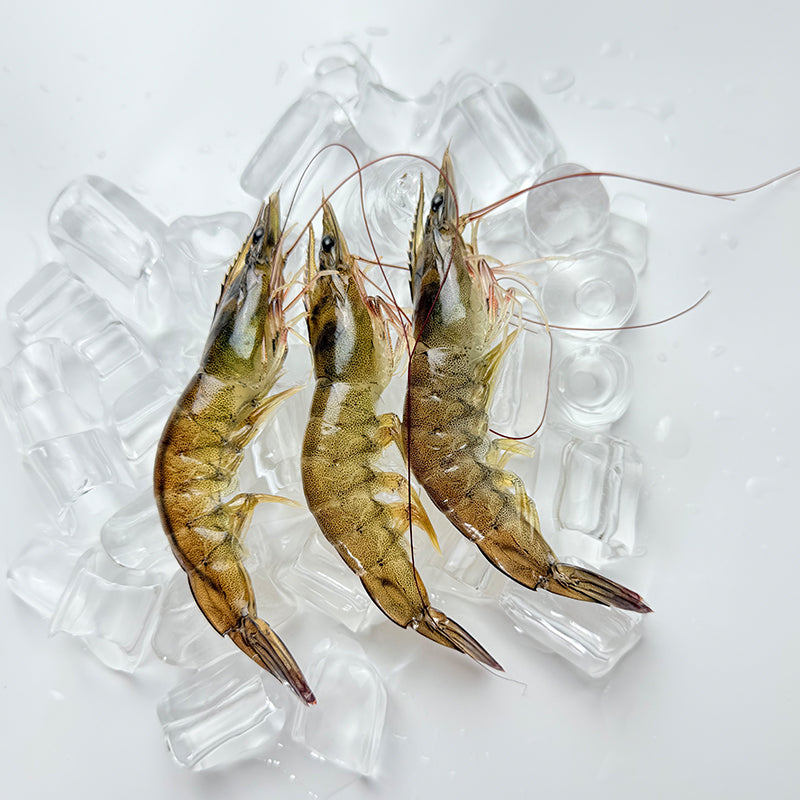 Frozen Shrimp (Kernels)