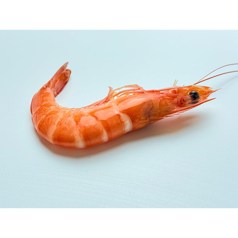 Frozen Shrimp (Kernels)