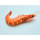 Frozen Shrimp (Kernels)