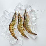 Frozen Shrimp (Kernels)