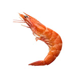 Frozen Shrimp (Kernels)