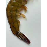 Frozen Shrimp (Kernels)