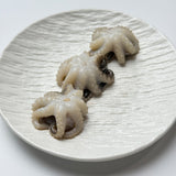 Frozen Octopus